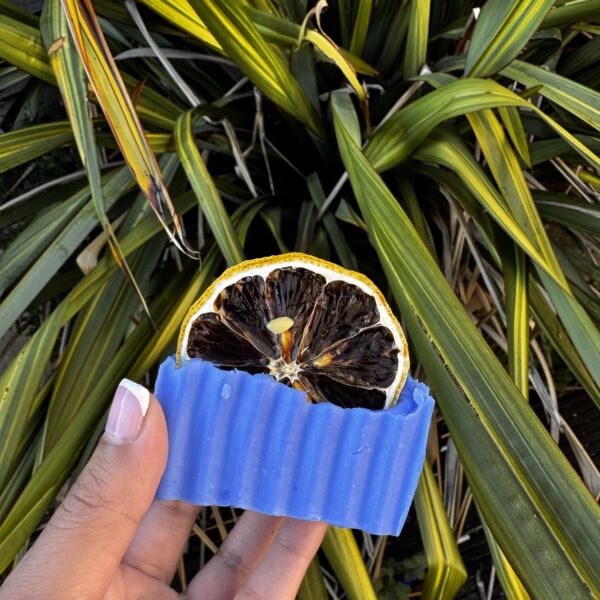 Nila soap bar